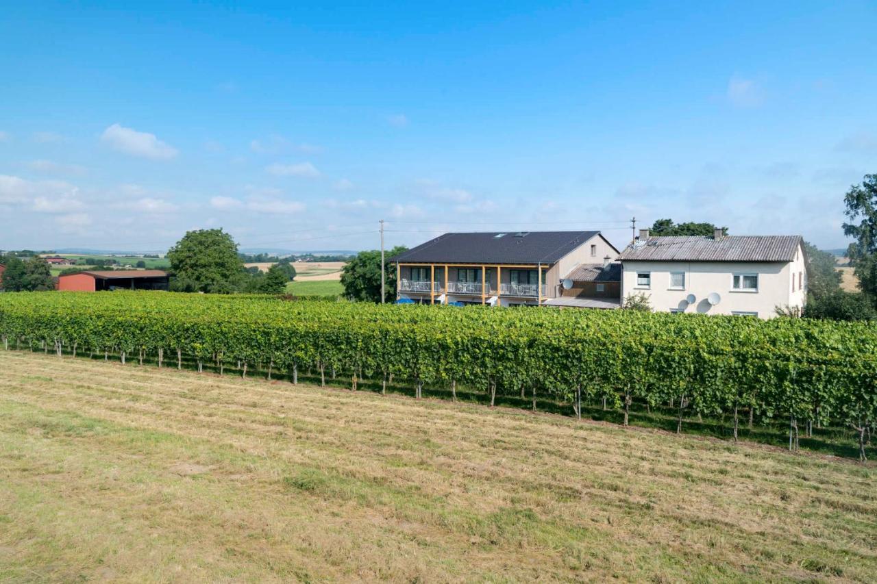 Apartmán Winzerhof Schmid Schwaigern Exteriér fotografie